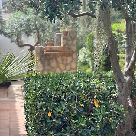 B&B Villa Alba Сан-Віто-Ло-Капо Екстер'єр фото